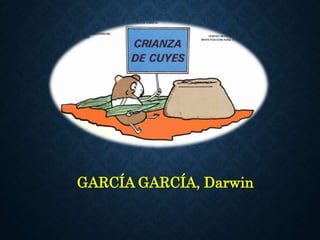 GARCÍA GARCÍA, Darwin
 