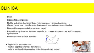 • Dolor
• Bipedestación imposible
• Rodilla globulosa, borramiento de relieves óseos, y ensanchamiento
Causa: hemartros + desplazamientos óseos + traumatismo partes blandas
• Desviación angular (más frecuente en valgo)
• Palpación muy dolorosa, tanto en lado afecto como en el opuesto por lesión capsulo
ligamentosa
• Percusión sobre el talón dolorosa
 Exploración neurovascular:
• Ciático poplíteo externo ( dorsiflexión)
• Arteria poplítea (relleno capilar, color, temperatura y pulsos)
CLINICA
 