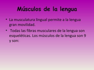 Músculos de la lengua
• La musculatura lingual permite a la lengua
gran movilidad.
• Todas las fibras musculares de la lengua son
esqueléticas. Los músculos de la lengua son 9
y son:
 