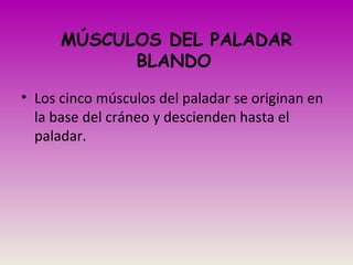 MÚSCULOS DEL PALADAR
BLANDO
• Los cinco músculos del paladar se originan en
la base del cráneo y descienden hasta el
paladar.
 