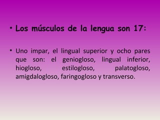 • Los músculos de la lengua son 17:
• Uno impar, el lingual superior y ocho pares
que son: el geniogloso, lingual inferior,
hiogloso, estilogloso, palatogloso,
amigdalogloso, faringogloso y transverso.
 