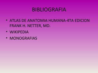BIBLIOGRAFIA
• ATLAS DE ANATOMIA HUMANA-4TA EDICION
FRANK H. NETTER, MD.
• WIKIPEDIA
• MONOGRAFIAS
 