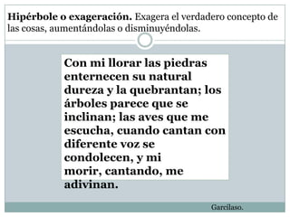 Hipérbole o exageración. Exagera el verdadero concepto de
las cosas, aumentándolas o disminuyéndolas.


           Con mi llorar las piedras
           enternecen su natural
           dureza y la quebrantan; los
           árboles parece que se
           inclinan; las aves que me
           escucha, cuando cantan con
           diferente voz se
           condolecen, y mi
           morir, cantando, me
           adivinan.
                                          Garcilaso.
 
