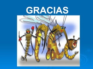GRACIAS 