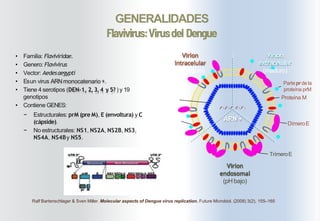 Virus Racket Ralf EXPO - DENGUE ABRIL.pptx