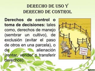DERECHO DE USO Y
          DERECHO DE CONTROL
Derechos de control o
toma de decisiones: tales
como, derechos de manejo
(sembrar un cultivo), de
exclusión (evitar el paso
de otros en una parcela), o
de               alienación
(rentar, vender o transferir
derechos).
 