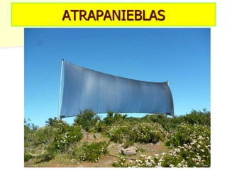 ATRAPANIEBLAS
 