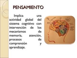 PENSAMIENTO Implica una actividad global del sistema cognitivo con intervención de los mecanismos de memoria, atención, procesos de comprensión y aprendizaje. 