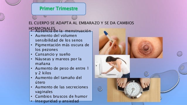 Nutrición De La Mujer Embarazada