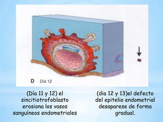 Anomalías cromosómicas 