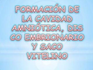 Las células sincitiotrofoblasticas desplazan a las células endometriales 
