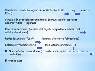 La Cavidad amniótica           embrioblastoEl amnios (células aminogénicas)Disco embrionario          (cambios morfológicos en el embrioblasto); compuesto por dos capas:Epiblasto         (Cavidad amniótica)