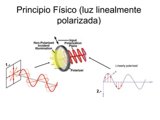 Principio Físico (luz linealmente
polarizada)
1.-
3.-
2.-
 