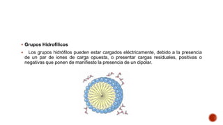  Grupos Hidrofilicos
 Los grupos hidrófilos pueden estar cargados eléctricamente, debido a la presencia
de un par de iones de carga opuesta, o presentar cargas residuales, positivas o
negativas que ponen de manifiesto la presencia de un dipolar.
 