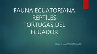FAUNA ECUATORIANA
REPTILES
TORTUGAS DEL
ECUADOR
KELLY CHAMORRO DELGADO
 