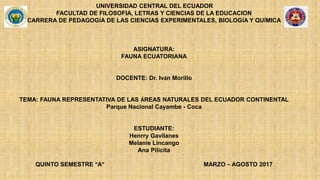 UNIVERSIDAD CENTRAL DEL ECUADOR
FACULTAD DE FILOSOFIA, LETRAS Y CIENCIAS DE LA EDUCACION
CARRERA DE PEDAGOGÍA DE LAS CIENCIAS EXPERIMENTALES, BIOLOGÍA Y QUÍMICA
ASIGNATURA:
FAUNA ECUATORIANA
DOCENTE: Dr. Iván Morillo
TEMA: FAUNA REPRESENTATIVA DE LAS ÁREAS NATURALES DEL ECUADOR CONTINENTAL
Parque Nacional Cayambe - Coca
ESTUDIANTE:
Henrry Gavilanes
Melanie Lincango
Ana Pilicita
QUINTO SEMESTRE “A” MARZO – AGOSTO 2017
 
