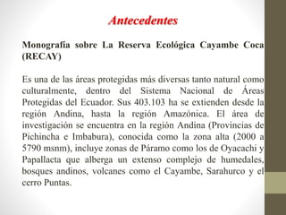 Antecedentes
Monografía sobre La Reserva Ecológica Cayambe Coca
(RECAY)
Es una de las áreas protegidas más diversas tanto natural como
culturalmente, dentro del Sistema Nacional de Áreas
Protegidas del Ecuador. Sus 403.103 ha se extienden desde la
región Andina, hasta la región Amazónica. El área de
investigación se encuentra en la región Andina (Provincias de
Pichincha e Imbabura), conocida como la zona alta (2000 a
5790 msnm), incluye zonas de Páramo como los de Oyacachi y
Papallacta que alberga un extenso complejo de humedales,
bosques andinos, volcanes como el Cayambe, Sarahurco y el
cerro Puntas.
 
