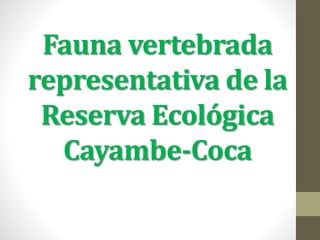 Fauna vertebrada
representativa de la
Reserva Ecológica
Cayambe-Coca
 
