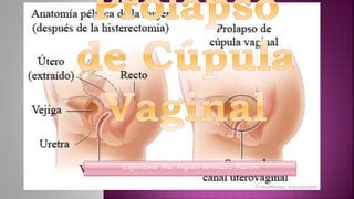 Expositora: Ma. Ángeles Bermúdez Alarcón
 