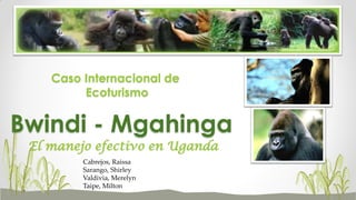 El manejo efectivo en Uganda
Bwindi - Mgahinga
Caso Internacional de
Ecoturismo
Cabrejos, Raissa
Sarango, Shirley
Valdivia, Merelyn
Taipe, Milton
 