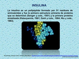 La insulina es un polipéptido formado por 51 residuos de
aminoácidos y fue la primera estructura primaria de proteína
que se determinó (Sanger y cols., 1951) y la primera proteína
sintetizada (Katsoyannis, 1961; Zanh y cols., 1964; Niu y cols.,
1963).
INSULINA
Biopsicología. Biología Y Salud “Insulina”. Disponible en: http://www.biopsicologia.net/Nivel3-participaci%C3%B3npl%C3%A1sticayfuncional/23127-insulina.
[Fecha de acceso 29/enero/2016].
 
