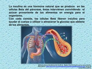 Biblioteca Nacional de Medicina de los EE.UU. Medline Plus Información para su salud. Insulina.
Disponible en: https://www.nlm.nih.gov/medlineplus/spanish/metabolicsyndrome.html. [Fecha de
acceso 29/enero/2016].
La insulina es una hormona natural que se produce en las
células Beta del páncreas, éstas intervienen convirtiendo el
azúcar proveniente de los alimentos en energía para el
organismo.
Con cada comida, las células Beta liberan insulina para
ayudar al cuerpo a utilizar o almacenar la glucosa que obtiene
de los alimentos.
 