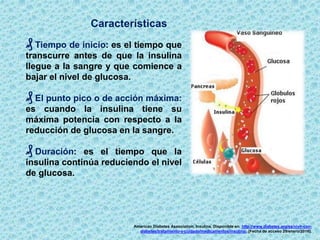 Características
₰ Tiempo de inicio: es el tiempo que
transcurre antes de que la insulina
llegue a la sangre y que comience a
bajar el nivel de glucosa.
₰ El punto pico o de acción máxima:
es cuando la insulina tiene su
máxima potencia con respecto a la
reducción de glucosa en la sangre.
₰ Duración: es el tiempo que la
insulina continúa reduciendo el nivel
de glucosa.
American Diabetes Association. Insulina. Disponible en: http://www.diabetes.org/es/vivir-con-
diabetes/tratamiento-y-cuidado/medicamentos/insulina/. [Fecha de acceso 29/enero/2016].
 