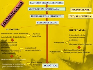 FACTORES DESENCADENANTES

                                 VENTILACIÓN INADECUADA                   PO2 DESCIENDE

                                   TEJIDOS QUEDAN HIPÓXICOS             PCO2 SE ACUMULA

                                           DESCENSOS DEL PH


     HIPOXEMIA                                                          HIPERCAPNIA
Metabolismo celular anaeróbico       Acidosis
                                     metabólica                         Estimulación de los
Acumulación de ácido láctico                                            quimiorreceptores
                                                                        periféricos
Estimulación de los                                      Aumento FC
quimiorreceptores                                                      Mensajes al bulbo raquídeo
periféricos                  Aumento del
Mensajes neuronales al      trabajo r espiratorio                 Estimulación del centro
                                                     Aumento FR   respiratorio del bulbo raquídeo.
bulbo raquídeo


Vasoconstricción pulmonares
                                    Insuficiencia
 Aumento de la resistencia al         Cardiaca ACIDÓTICO
 gasto ventricular derecho
 