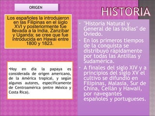 Los españoles la introdujeron en las Filipinas en el siglo XVI y posteriormente fue llevada a la India, Zanzíbar y Uganda; se cree que fue introducida en Hawai entre 1800 y 1823.  "Historia Natural y General de las Indias" de Oviedo. En los primeros tiempos de la conquista se distribuyó rápidamente por todas las Antillas y Sudamérica.  A finales del siglo XIV y a principios del siglo XV el cultivo se difundió en Filipinas, Malasia, Sur de China, Ceilán y Hawaii, por navegantes españoles y portugueses.  ORIGEN  Hoy en día la papaya es considerada de origen americano, de la América tropical, y según algunos autores, específicamente de Centroamérica (entre México y Costa Rica).  
