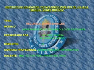 INSTITUTO DE EDUCACION TECNOLOGICO PUBLICO DE JULIACA
                “MANUEL NUÑEZ BUTRON”



TEMA
              RECURSOS EMPRESARIALES
MODULO
            HERRAMIENTAS DE DESARROLLO DE SOFTWARE

PRESENTADO POR:         HAYDEE VANESA
                       SUCASACA LARICO

SEMESTRE:               III

CARRERA PROFESIONAL: COMPUTACION E INFORMATICA

DOCENTE: ING. VICTOR FIDEL PANDO BELTRAN
 