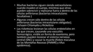 • Muchas bacterias siguen siendo extracelulares
cuando invaden el cuerpo, mientras que otras
pueden sobrevivir y replicarse fuera o dentro de las
células anfitrionas (bacterias intracelulares
facultativas )
• Algunas crecen sólo dentro de las células
anfitrionas (bacterias intracelulares obligadas).
incluyen Chlamydia y Rickettsia
• Las rickettsias lesionan las células endoteliales en
las que crecen, causando una vasculitis
hemorrágica, visible en forma de exantema, pero
también pueden lesionar el sistema nervioso
central (SNC) y causar la muerte (fiebre maculosa
de las Montañas Rocosas [FMMR] y tifus
epidémico).
 