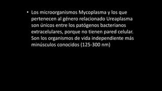• Los microorganismos Mycoplasma y los que
pertenecen al género relacionado Ureaplasma
son únicos entre los patógenos bacterianos
extracelulares, porque no tienen pared celular.
Son los organismos de vida independiente más
minúsculos conocidos (125-300 nm)
 