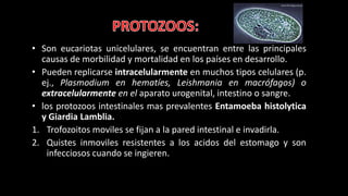 • Son eucariotas unicelulares, se encuentran entre las principales
causas de morbilidad y mortalidad en los países en desarrollo.
• Pueden replicarse intracelularmente en muchos tipos celulares (p.
ej., Plasmodium en hematíes, Leishmania en macrófagos) o
extracelularmente en el aparato urogenital, intestino o sangre.
• los protozoos intestinales mas prevalentes Entamoeba histolytica
y Giardia Lamblia.
1. Trofozoitos moviles se fijan a la pared intestinal e invadirla.
2. Quistes inmoviles resistentes a los acidos del estomago y son
infecciosos cuando se ingieren.
 
