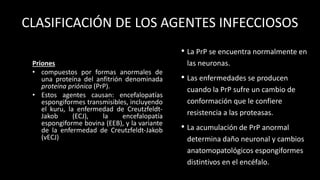 CLASIFICACIÓN DE LOS AGENTES INFECCIOSOS
Priones
• compuestos por formas anormales de
una proteína del anfitrión denominada
proteína priónica (PrP).
• Estos agentes causan: encefalopatías
espongiformes transmisibles, incluyendo
el kuru, la enfermedad de Creutzfeldt-
Jakob (ECJ), la encefalopatía
espongiforme bovina (EEB), y la variante
de la enfermedad de Creutzfeldt-Jakob
(vECJ)
• La PrP se encuentra normalmente en
las neuronas.
• Las enfermedades se producen
cuando la PrP sufre un cambio de
conformación que le confiere
resistencia a las proteasas.
• La acumulación de PrP anormal
determina daño neuronal y cambios
anatomopatológicos espongiformes
distintivos en el encéfalo.
 