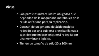 Virus
• Son parásitos intracelulares obligados que
dependen de la maquinaria metabólica de la
célula anfitriona para su replicación.
• Constan de un genoma de ácido nucleico
rodeado por una cubierta proteica (llamada
cápside) que en ocasiones está rodeada por
una membrana lipídica.
• Tienen un tamaño de sólo 20 a 300 nm
 