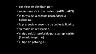 • Los virus se clasifican por:
su genoma de ácido nucleico (ADN o ARN)
la forma de la cápside (icosaédrica o
helicoidal)
la presencia o ausencia de cubierta lipídica
su modo de replicación,
el tipo celular preferido para su replicación
(llamado tropismo)
el tipo de patología.
 