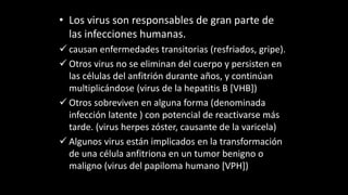 • Los virus son responsables de gran parte de
las infecciones humanas.
 causan enfermedades transitorias (resfriados, gripe).
 Otros virus no se eliminan del cuerpo y persisten en
las células del anfitrión durante años, y continúan
multiplicándose (virus de la hepatitis B [VHB])
 Otros sobreviven en alguna forma (denominada
infección latente ) con potencial de reactivarse más
tarde. (virus herpes zóster, causante de la varicela)
 Algunos virus están implicados en la transformación
de una célula anfitriona en un tumor benigno o
maligno (virus del papiloma humano [VPH])
 