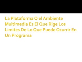 La Plataforma O el Ambiente Multimedia Es El Que Rige Los Limites De Lo Que Puede Ocurrir En Un Programa