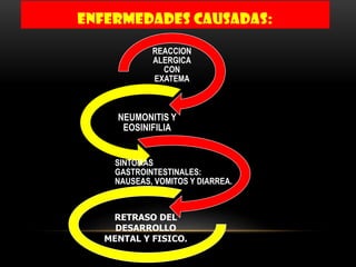 ENFERMEDADES CAUSADAS:
REACCION
ALERGICA
CON
EXATEMA

NEUMONITIS Y
EOSINIFILIA
SINTOMAS
GASTROINTESTINALES:
NAUSEAS, VOMITOS Y DIARREA.

RETRASO DEL
DESARROLLO
MENTAL Y FISICO.

 