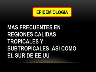 EPIDEMIOLOGIA

MAS FRECUENTES EN
REGIONES CALIDAS
TROPICALES Y
SUBTROPICALES ,ASI COMO
EL SUR DE EE.UU

 