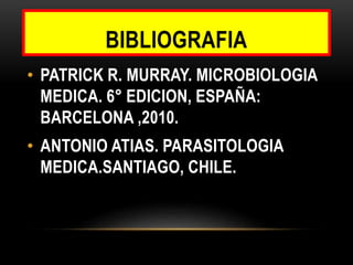 BIBLIOGRAFIA
• PATRICK R. MURRAY. MICROBIOLOGIA
MEDICA. 6° EDICION, ESPAÑA:
BARCELONA ,2010.
• ANTONIO ATIAS. PARASITOLOGIA
MEDICA.SANTIAGO, CHILE.

 