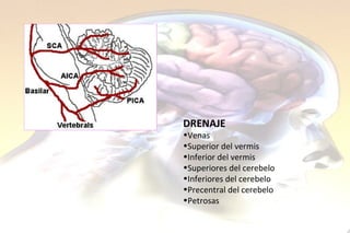 DRENAJE Venas Superior del vermis  Inferior del vermis Superiores del cerebelo Inferiores del cerebelo Precentral del cerebelo Petrosas   