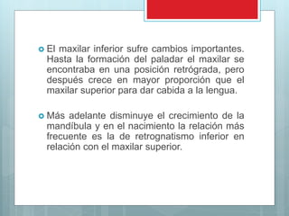  El maxilar inferior sufre cambios importantes.
Hasta la formación del paladar el maxilar se
encontraba en una posición retrógrada, pero
después crece en mayor proporción que el
maxilar superior para dar cabida a la lengua.
 Más adelante disminuye el crecimiento de la
mandíbula y en el nacimiento la relación más
frecuente es la de retrognatismo inferior en
relación con el maxilar superior.
 