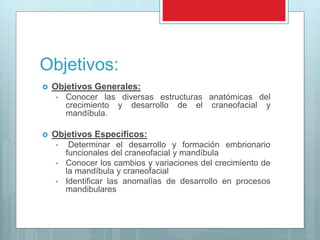 Objetivos:
 Objetivos Generales:
• Conocer las diversas estructuras anatómicas del
crecimiento y desarrollo de el craneofacial y
mandíbula.
 Objetivos Específicos:
• Determinar el desarrollo y formación embrionario
funcionales del craneofacial y mandíbula
• Conocer los cambios y variaciones del crecimiento de
la mandíbula y craneofacial
• Identificar las anomalías de desarrollo en procesos
mandibulares
 