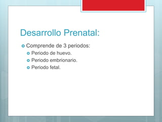 Desarrollo Prenatal:
 Comprende de 3 periodos:
 Periodo de huevo.
 Periodo embrionario.
 Periodo fetal.
 