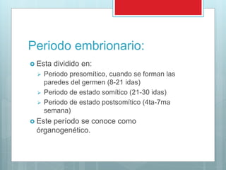 Periodo embrionario:
 Esta dividido en:
 Periodo presomítico, cuando se forman las
paredes del germen (8-21 idas)
 Periodo de estado somítico (21-30 idas)
 Periodo de estado postsomítico (4ta-7ma
semana)
 Este período se conoce como
órganogenético.
 