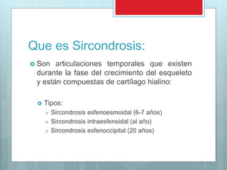 Que es Sircondrosis:
 Son articulaciones temporales que existen
durante la fase del crecimiento del esqueleto
y están compuestas de cartílago hialino:
 Tipos:
 Sircondrosis esfenoesmoidal (6-7 años)
 Sircondrosis intraesfenoidal (al año)
 Sircondrosis esfenoccipital (20 años)
 