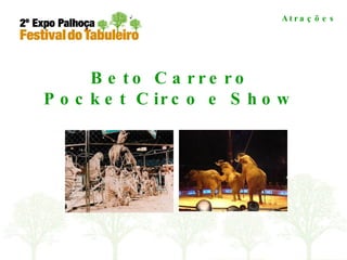 Beto Carrero Pocket Circo e Show Atrações 