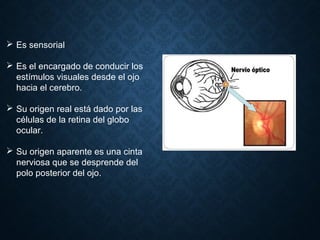  Es sensorial
 Es el encargado de conducir los
estímulos visuales desde el ojo
hacia el cerebro.
 Su origen real está dado por las
células de la retina del globo
ocular.
 Su origen aparente es una cinta
nerviosa que se desprende del
polo posterior del ojo.
 