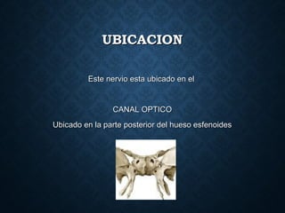 UBICACIONUBICACION
Este nervio esta ubicado en elEste nervio esta ubicado en el
CANAL OPTICOCANAL OPTICO
Ubicado en la parte posterior del hueso esfenoidesUbicado en la parte posterior del hueso esfenoides
 